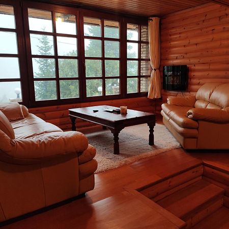 "Nest" The Wooden Suite By Ski Alure Eptálofos Esterno foto